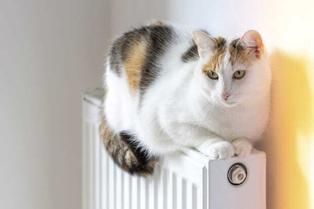 В Ульяновске жители 21 дома остались без тепла из-за порыва на трубопроводе