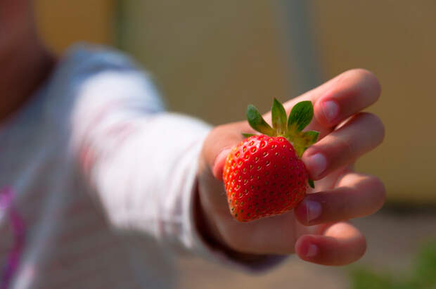 Идеальный муж или сволочь?