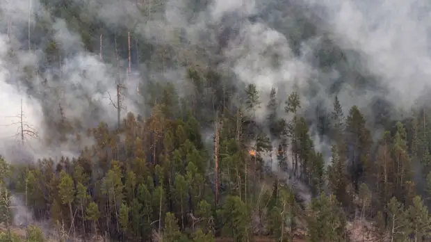 В МЧС рассказали о ситуации с лесными пожарами в Якутии