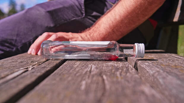 Доктор Мясников рассказал о пьющих «на убой» американцах