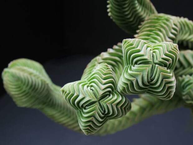 Крассула «Храм Будды» (Crassula ’Buddha’s Temple’). © worldofsucculents 📷