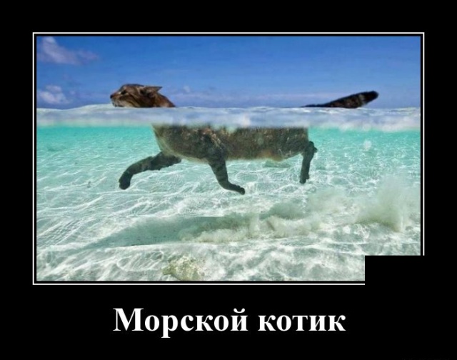 Демотиваторы (30 фото)