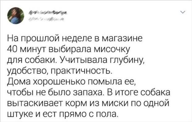 16 ситуаций, которые поймут все владельцы животных