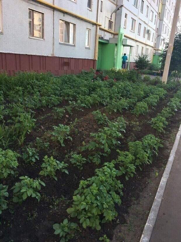 Просто Химки Просто Химки подборка, прикол, теперь вы видели больше, удивительное, юмор