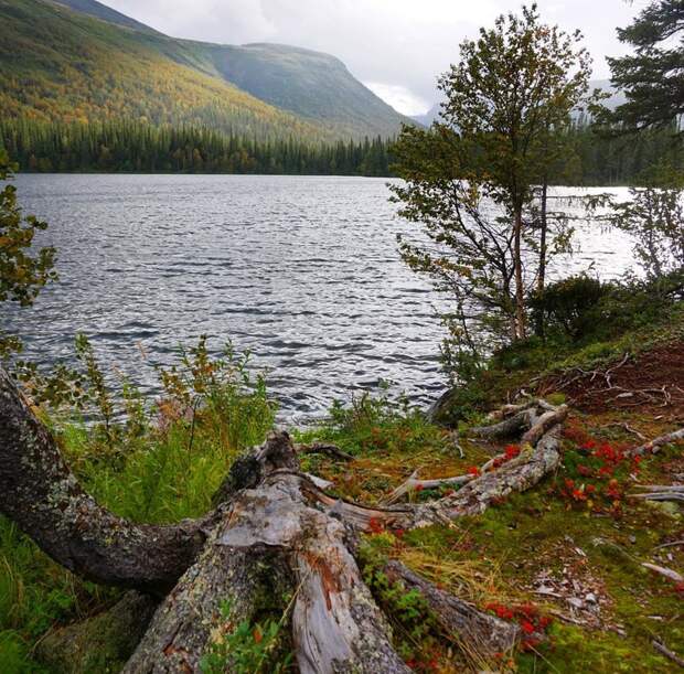 Одно из самых красивых озёр России: Сейдозеро природа, россия, сейдозеро, тундра