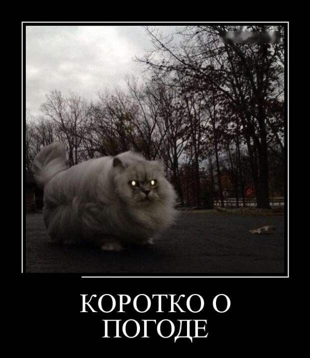 Демотиваторы (30 фото)