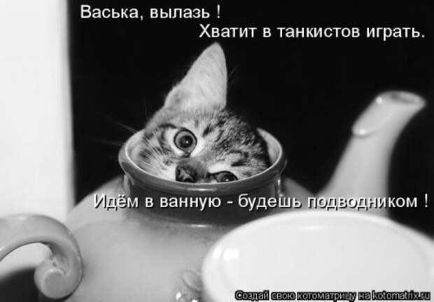 Свежая котоматрица (21 фото)