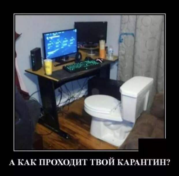 Прикольные демотиваторы с надписями. Подборка chert-poberi-dem-chert-poberi-dem-27280614122020-10 картинка chert-poberi-dem-27280614122020-10