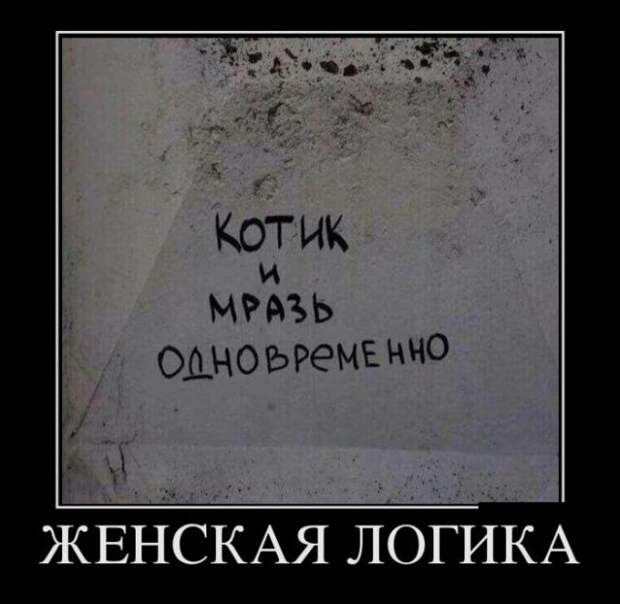 Демотиваторы - 983 Демотиваторы - 983