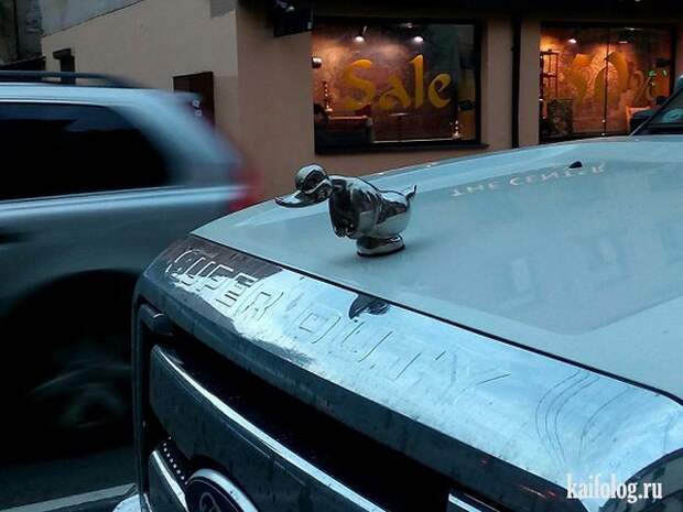 Приколы (55 фото)