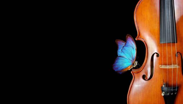 Концерт «Вивальди и Бах: „Времена года“ и органные шедевры»