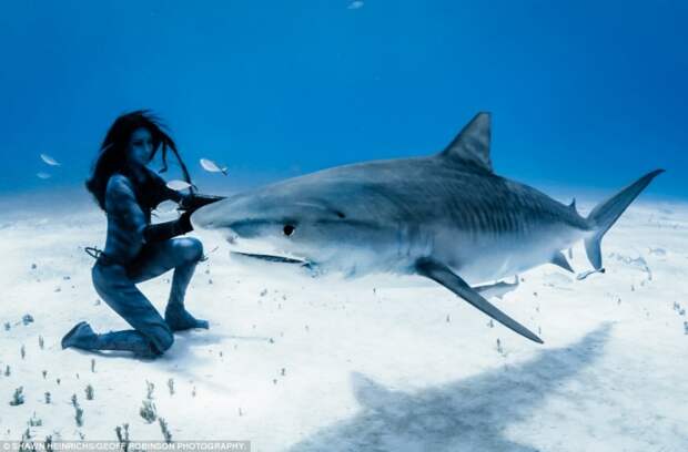 танцы с тигровыми акулами, Ханна Фрэйзер, Hannah Fraser, фотосессия модель тигровые акулы