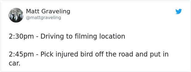 angry-bird-injured-red-kite-rescued-bbc-reporter-matt-graveling-001