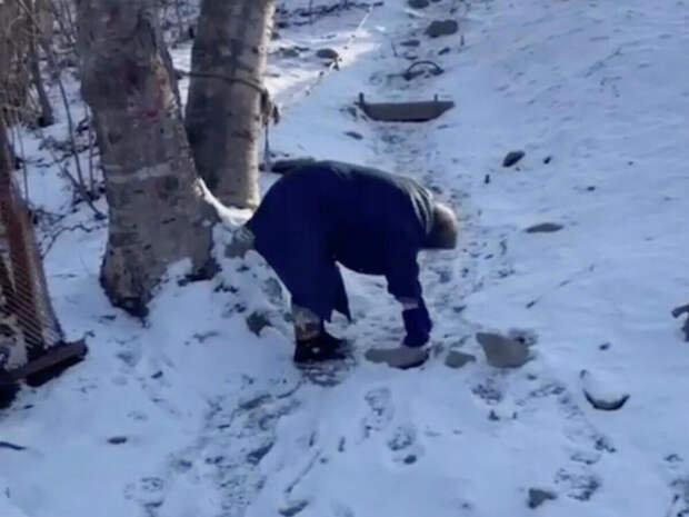 Пенсионерка ползла на четвереньках по льду, чтобы купить еду