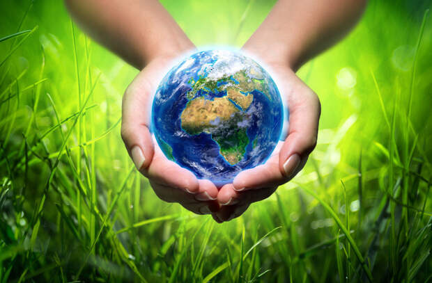 Объявлены итоги международной детско-юношеской премии Росприроднадзора «Экология – дело каждого»