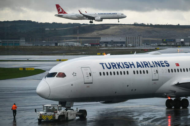 Turkish Airlines после данных о клопах сообщила, что дезинфицирует самолеты