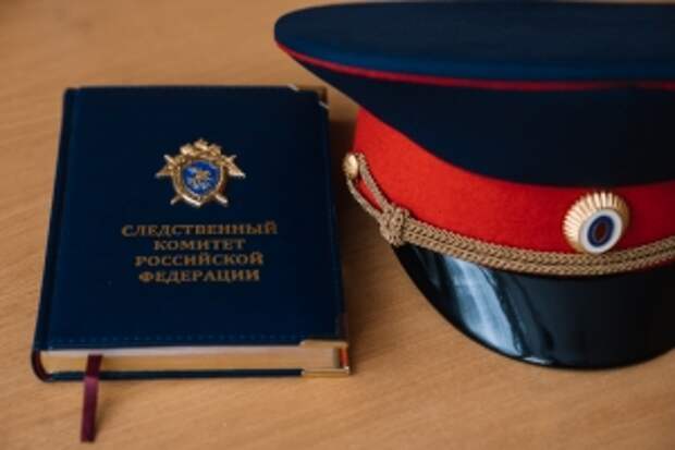 В центральный аппарат доложат о расследовании обстоятельств убийства двух мужчин в Тульской области