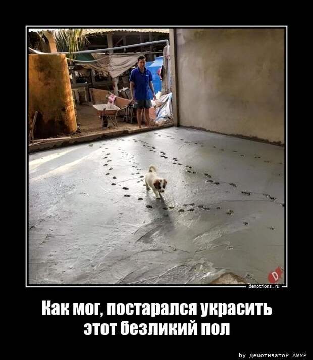 Новых демотиваторов порция (18 шт)