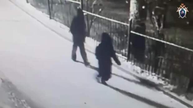 30 млн рублей требуют у отца похищенного школьника в Красноярске