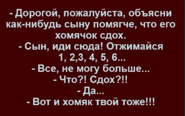 #юмор #смешное #приколы