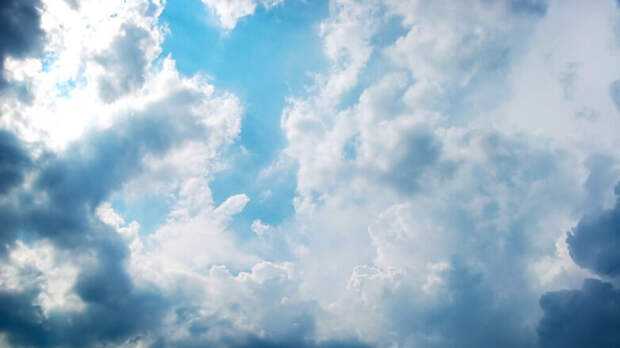 Сколько еще продержится аномальное тепло в Центральной России, рассказал Вильфанд