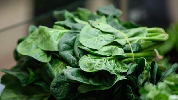 Шпинат — старый новый суперфуд: 5 небанальных рецептов на каждый день