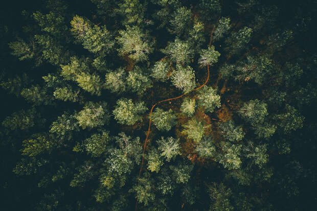 best-drone-photography-2016-dronestagram-contest-21-5783b76b15c80__880