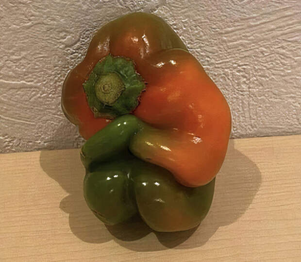 17 забавных случаев парейдолии