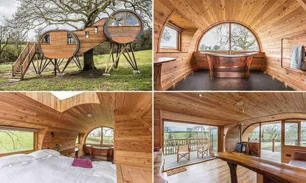 Домики на дереве отдыхают. В Англии построили роскошный эко-особняк на дереве! дизайн, дом, дом на дереве, жилье, интерьер, строительство, фото, экодом