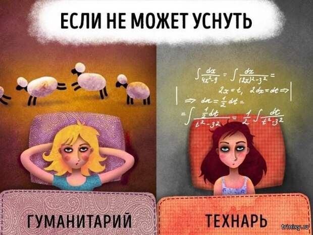 Технарь и гуманитарий
