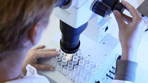 Новый подход к лечению ВИЧ заставляет скрытый вирус активировать иммунный сенсор