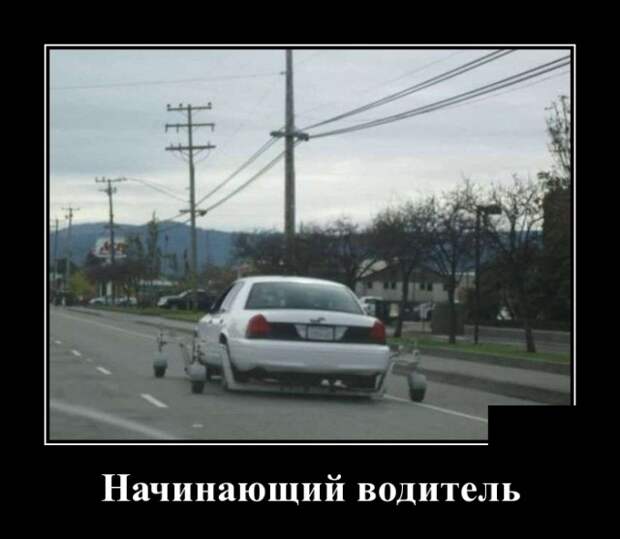 Демотиваторы (30 фото)