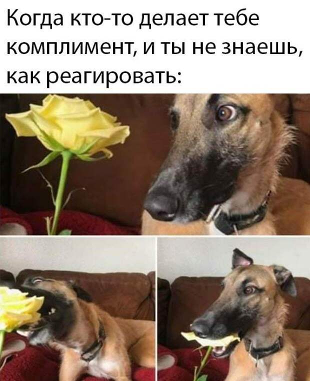 www.vsyako.net