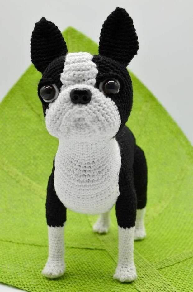 https://www.etsy.com/listing/580666412/boston-terrier-crochet-pattern-crochet?ref=related-1&epik=dj0yJnU9ZXduaXBXd3I2aHgzRS14aVNiaS16V3pvRE9pWVgwSl8mcD0wJm49Sm5EMVBTNVpJdDFNYWxoNlpuVTJ0ZyZ0PUFBQUFBR0FSanA4