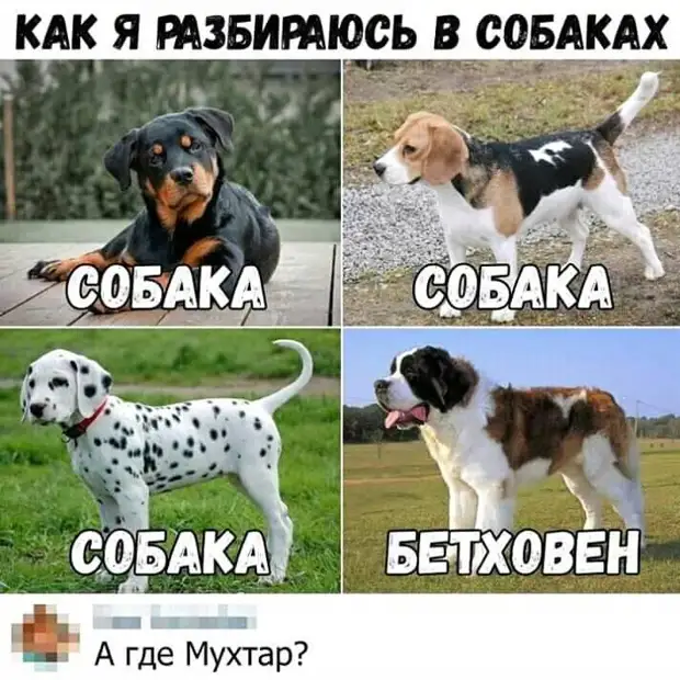 Вежливость – это не только послать, но и проводить Вежливость – это не только послать, но и проводить обезьян, автобус, будет, чтобы, зовут, бизнесмен, Hастроение, ничего, денег, парень, когда, работает, Аркадий, последних, слово, троллейбус, перед, Обезьян, Hормальное, Попрыгай
