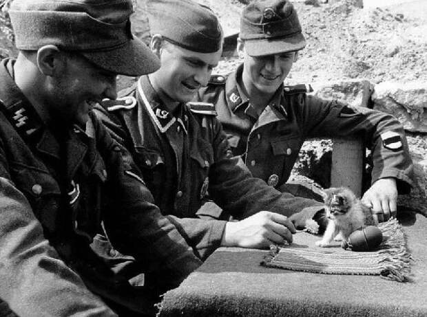 Немецкие солдаты играют с котенком на улице, 1943 год.