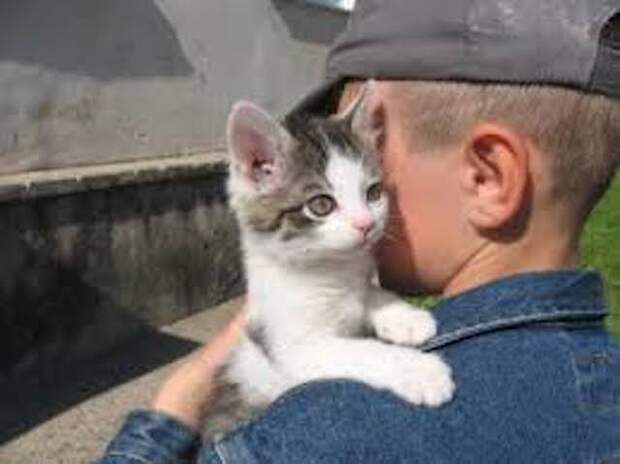 Притча о мальчике и котенке: не забывай, что ты человек
