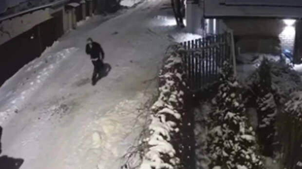 «Не соображал, куда идёт»: что известно об исчезновении инженера, пропавшего в Ногинске после новогоднего корпоратива