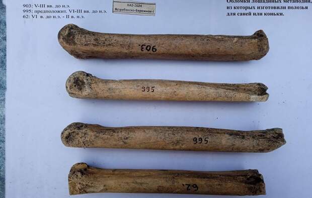 На Кубани обнаружили костяные «коньки» античной эпохи