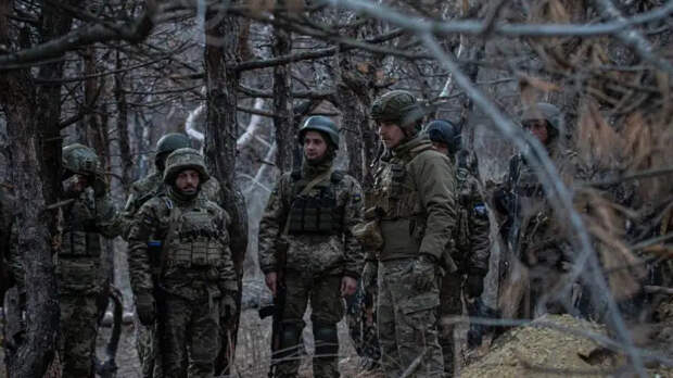 Освобождение Лимана: окруженные боевики массово сдаются в плен