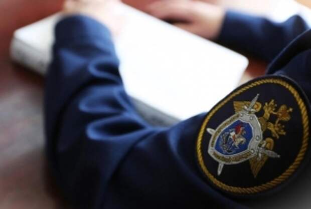 Глава СК России поручил доложить о ходе расследования уголовного дела по факту хулиганства во Владимирской области