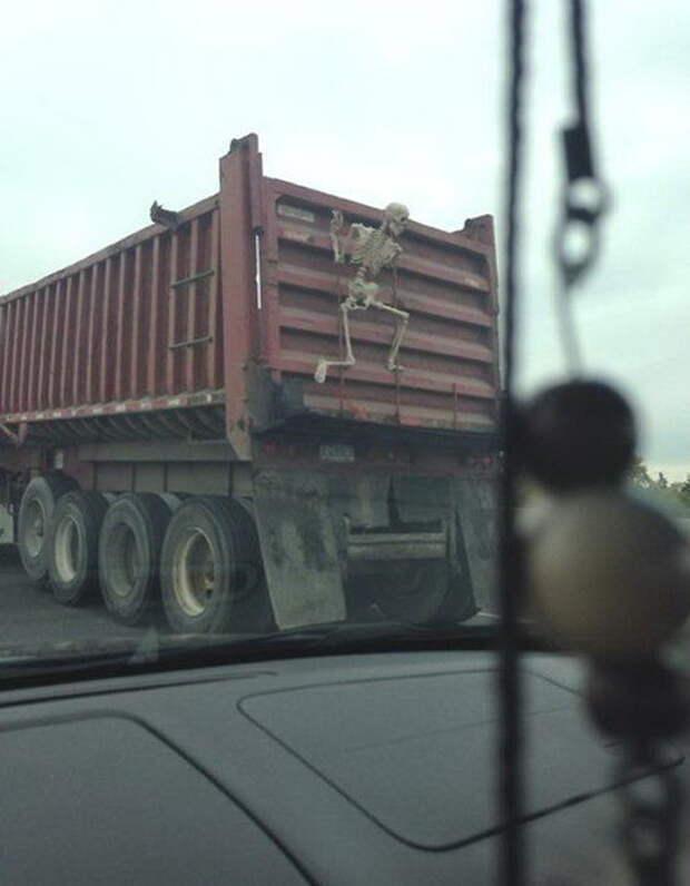 Позитивчик прикол, фото   юмор, юмор