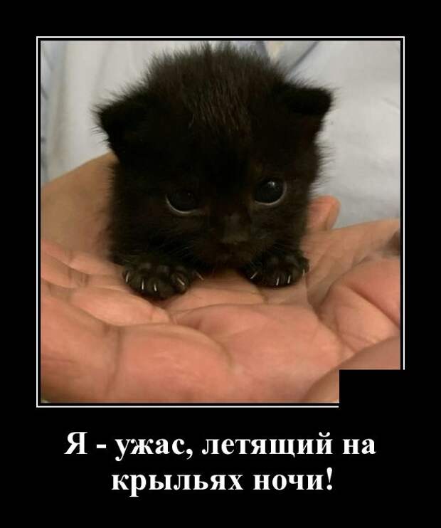 Демотиваторы (30 фото)