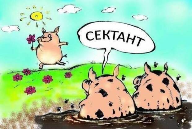 Животный юмор животные в юморе ., карикатуры, рисунки, юмор