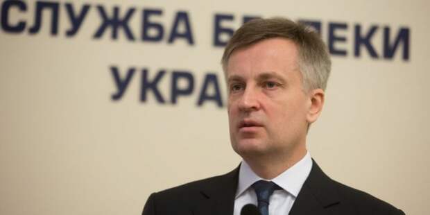 СБУ с 2015 года целенаправленно занималась терактами, диверсиями и незаконными убийствами украинских граждан. Об...