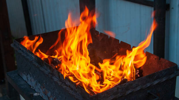 Депутат Шапкин: за неправильное размещение мангала на даче грозит штраф