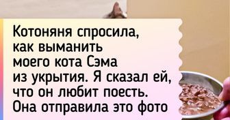 a15aee5df58d59a9a8bb3d9fc0.jpg