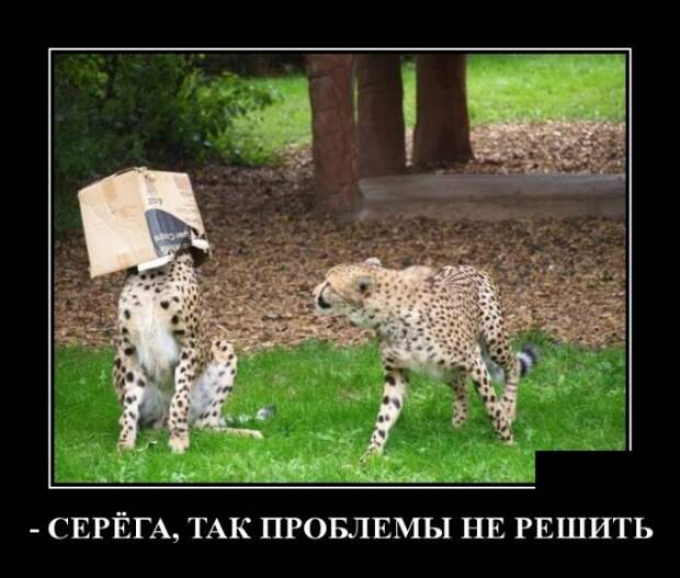 Демотиваторы