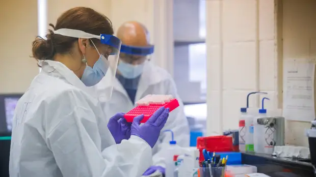 Вирусолог назвал дату появления лекарства от коронавируса