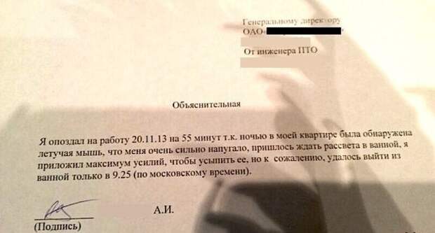 15 объяснительных, которые трудно прочесть без улыбки